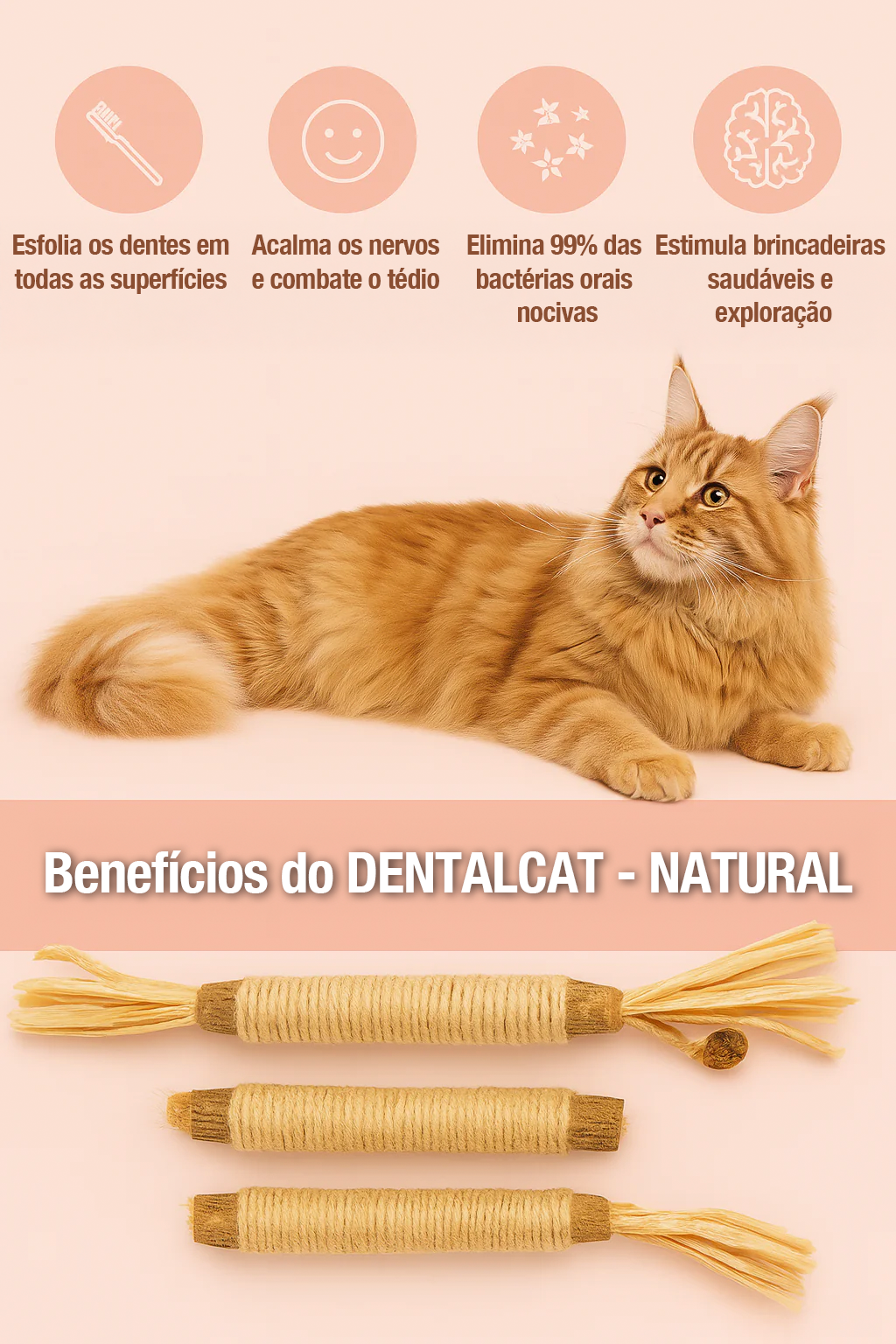 DENTALCAT - 3 Palitos Dentais Silvervine para Gatos