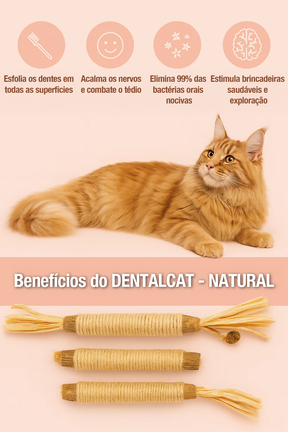 DENTALCAT - 3 Palitos Dentais Silvervine para Gatos