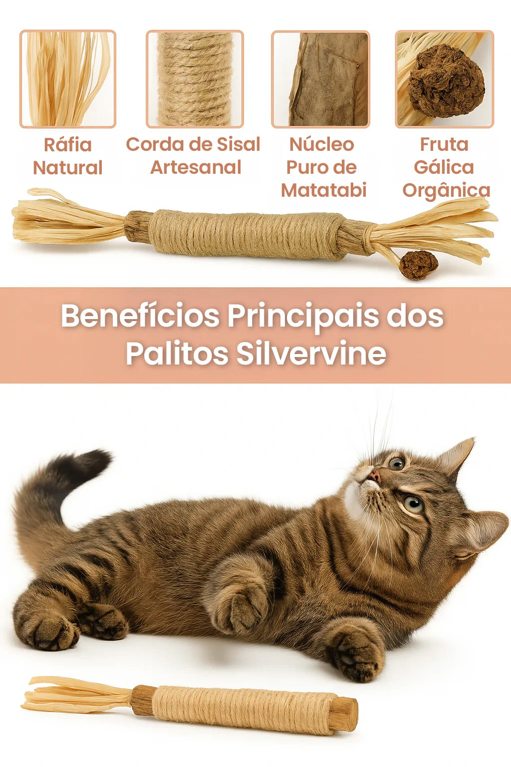 DENTALCAT - 3 Palitos Dentais Silvervine para Gatos