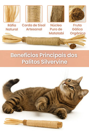 DENTALCAT - 3 Palitos Dentais Silvervine para Gatos