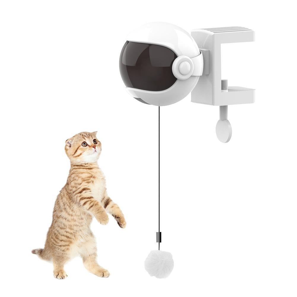 Brinquedo Interativo para Gatos e Cachorros