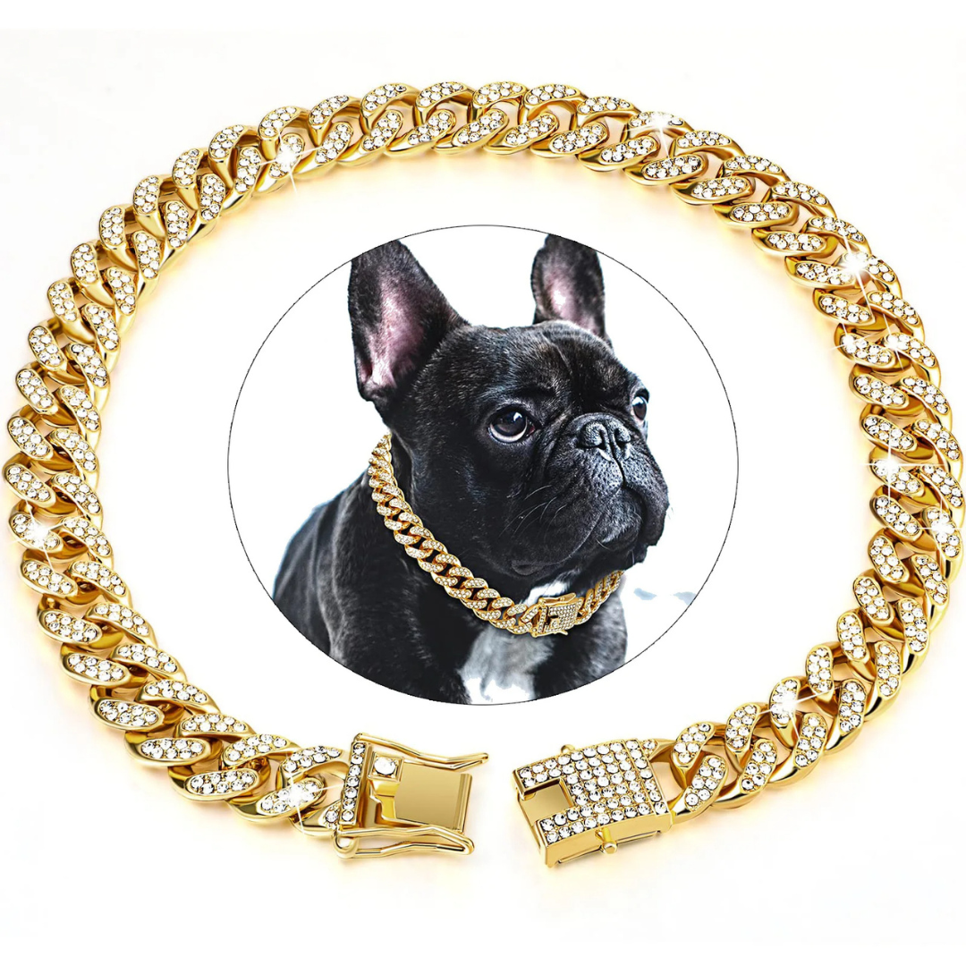 Coleira Colar Style para Cães