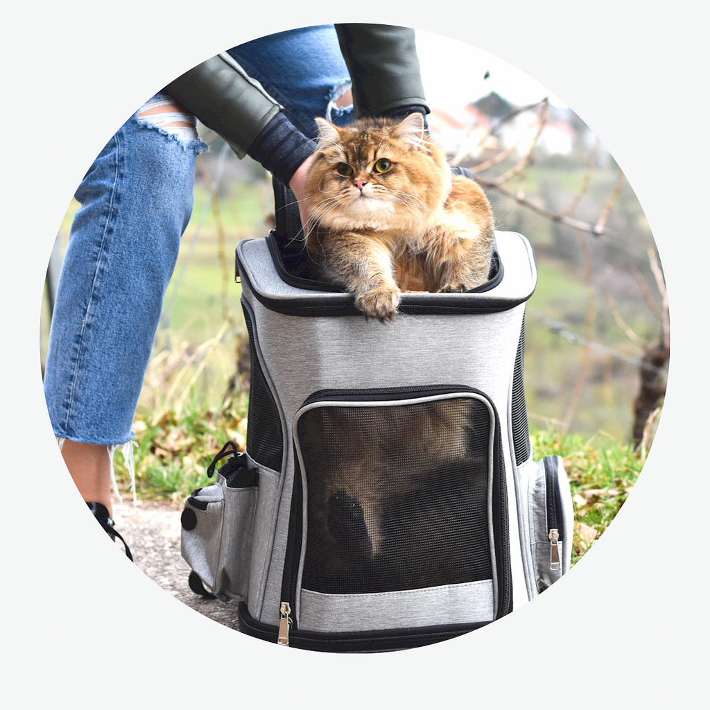 Bolsa de Transporte Expansível para Gatos