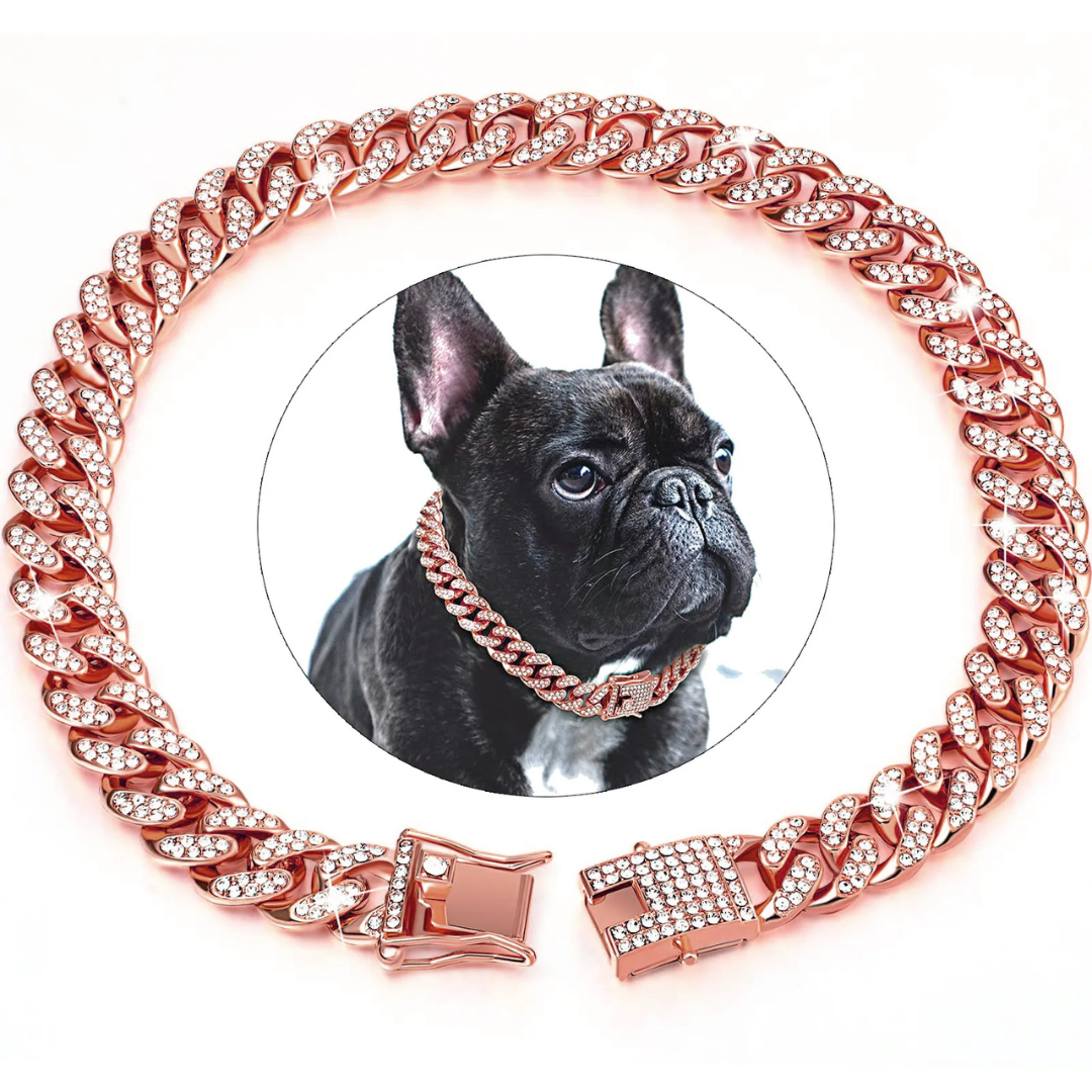 Coleira Colar Style para Cães