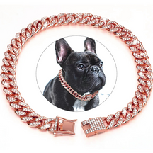 Coleira Colar Style para Cães