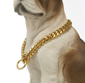 Coleira Guardião Dourado para Cães
