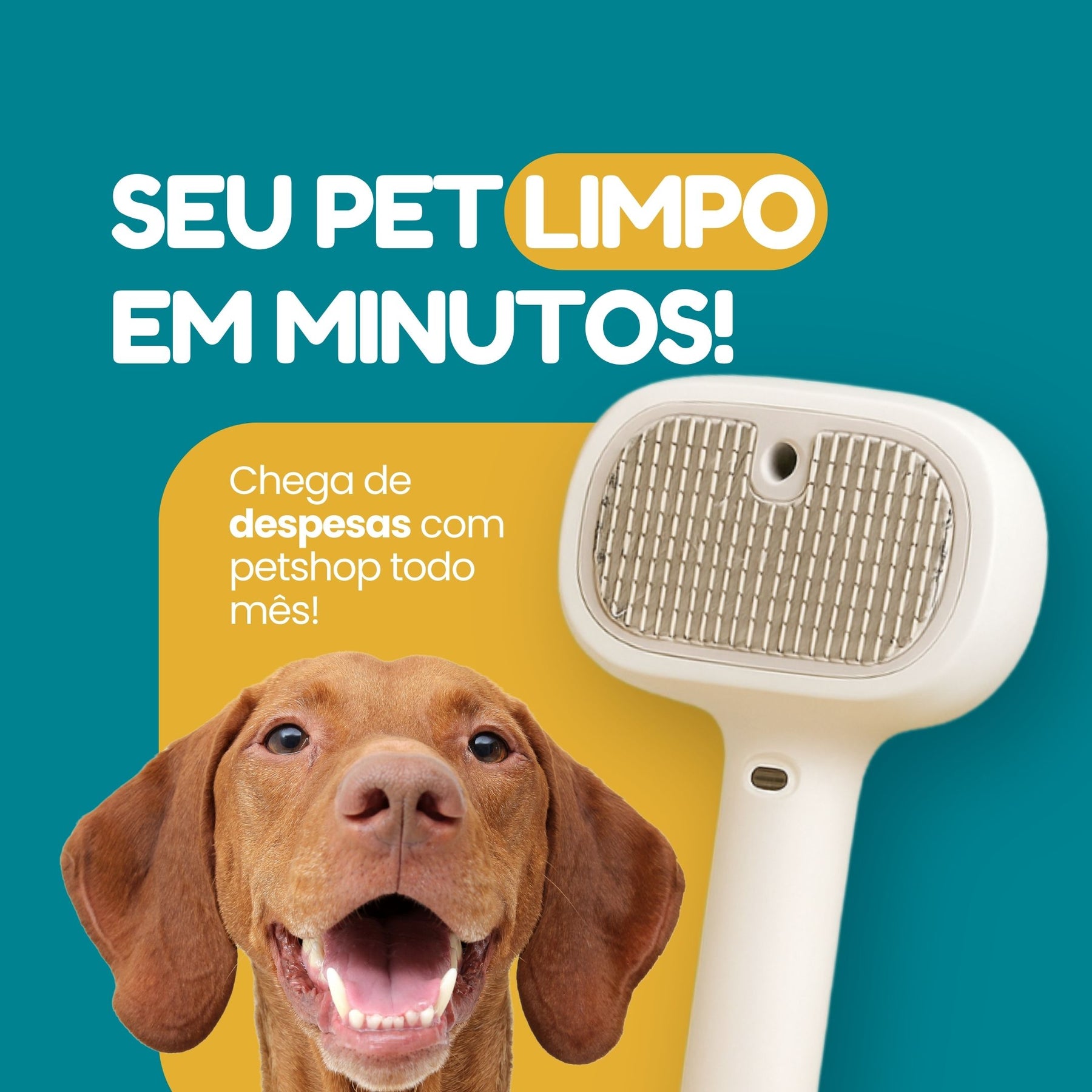 ESCOVA PET SPA