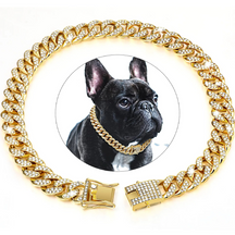 Coleira Colar Style para Cães