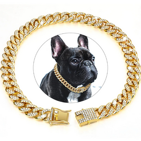 Coleira Colar Style para Cães