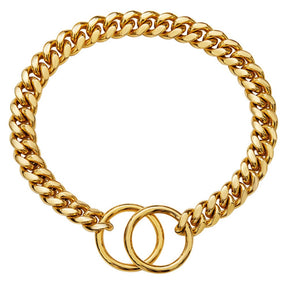 Coleira Guardião Dourado para Cães
