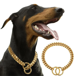 Coleira Guardião Dourado para Cães