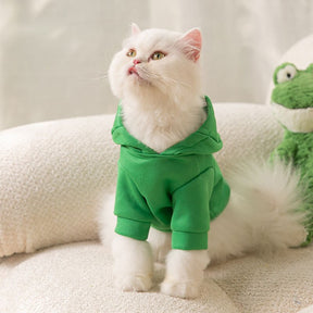 Moletom Sapo Para Gatos