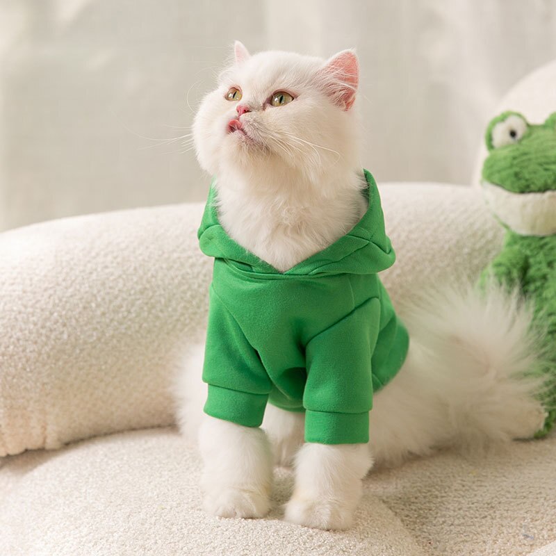 Moletom Sapo Para Gatos