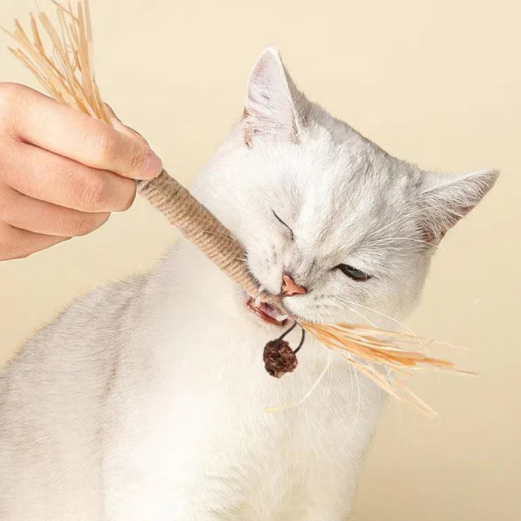 DENTALCAT - 3 Palitos Dentais Silvervine para Gatos
