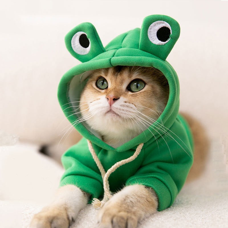 Moletom Sapo Para Gatos