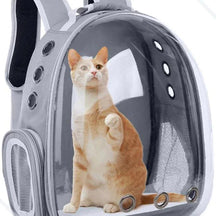 Mochila de Transporte Panorâmica para Pets