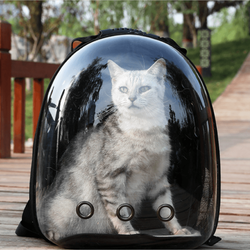 Mochila de Transporte Panorâmica para Pets